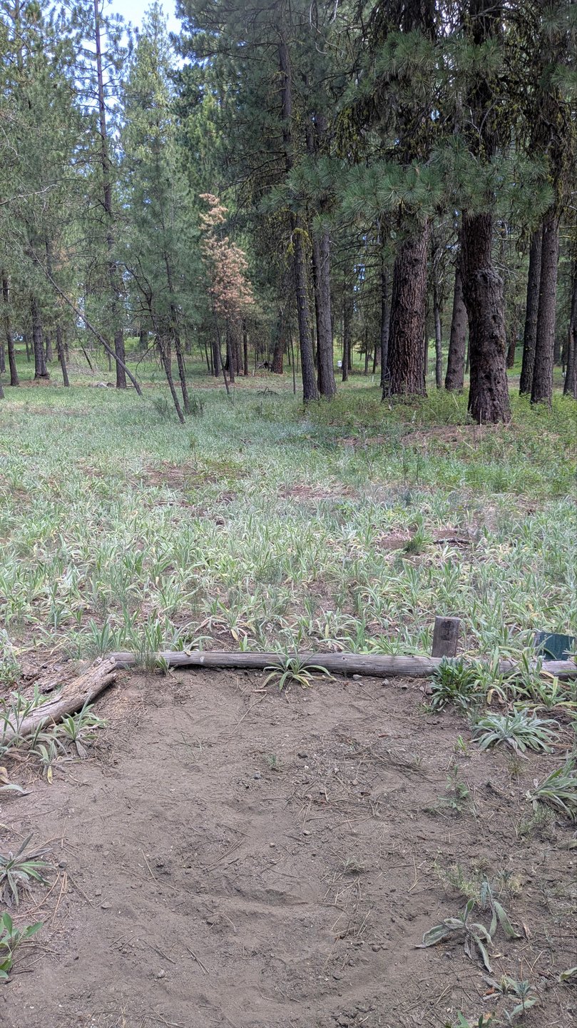 #15 Tee Pad (Island Hole)
