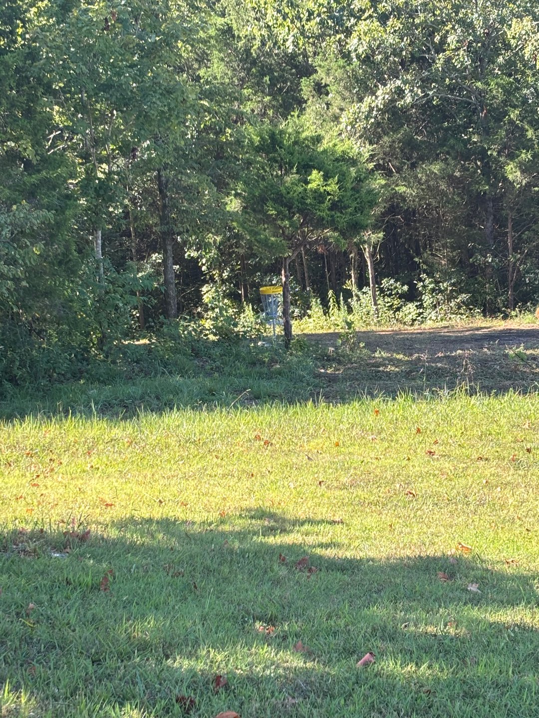 Tee view 