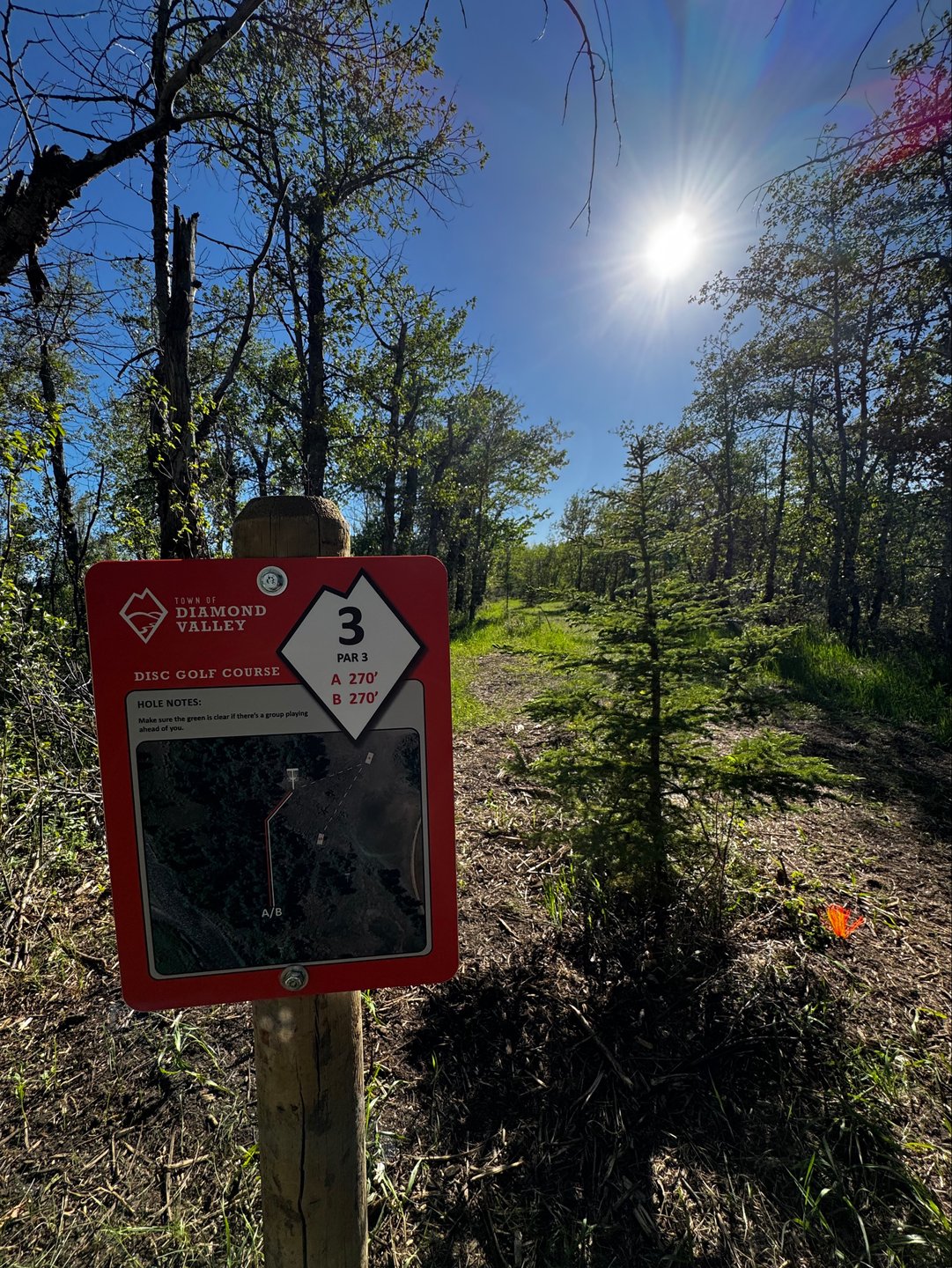 Hole 3