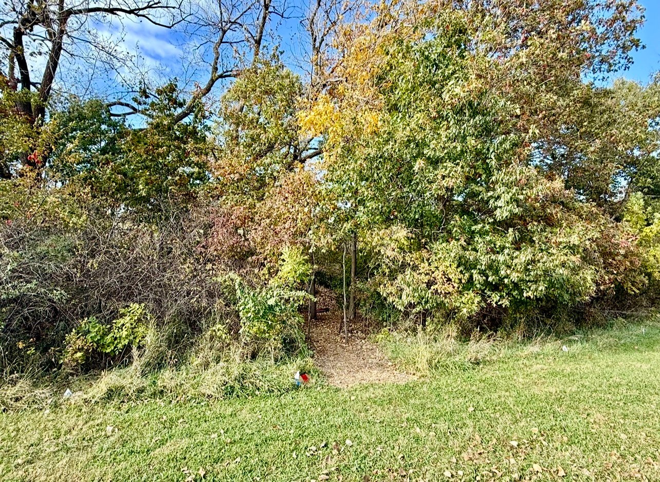 Hole 5 - Entrance to woods for Hole 6. 