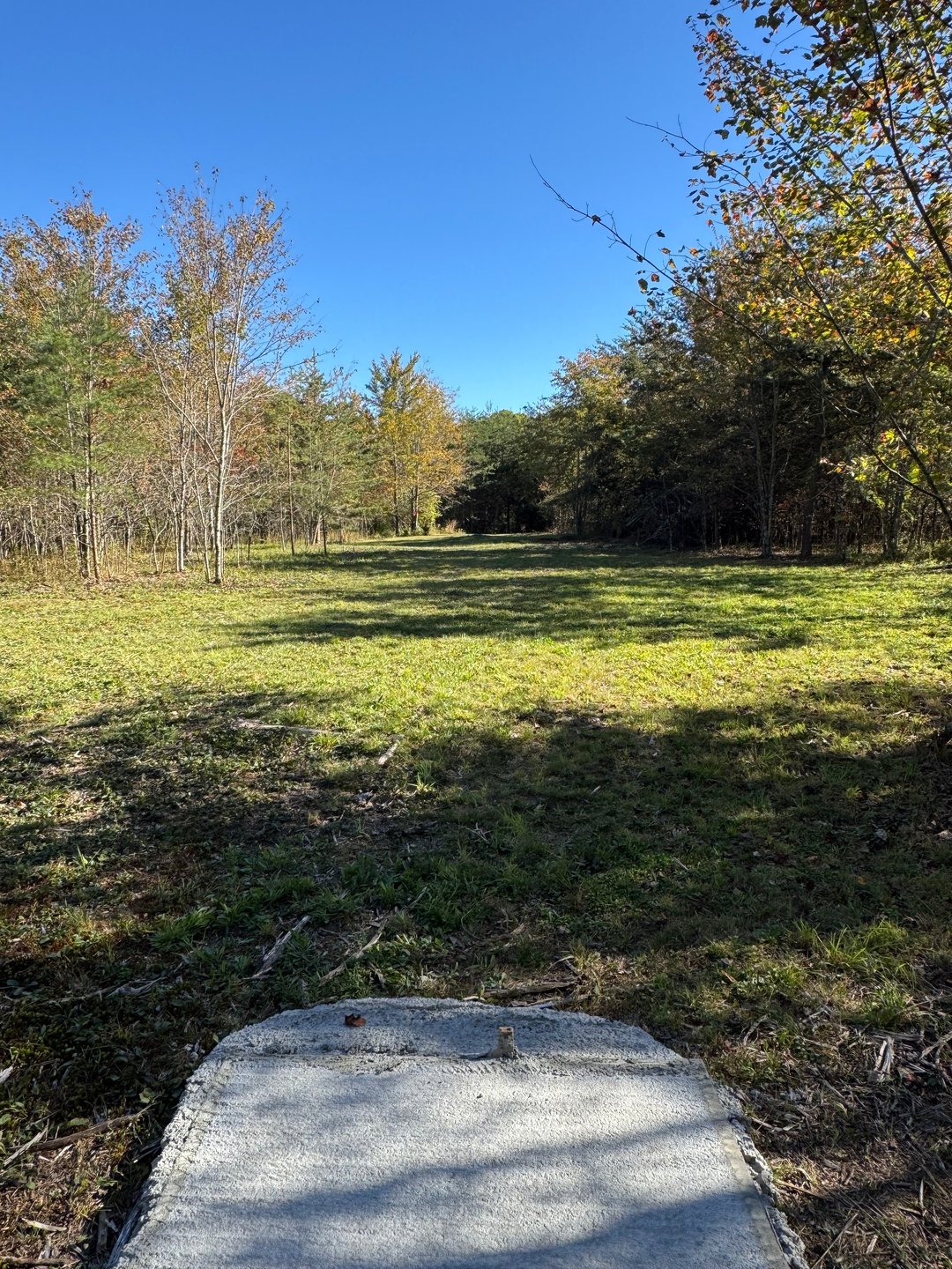 #7 tee pad