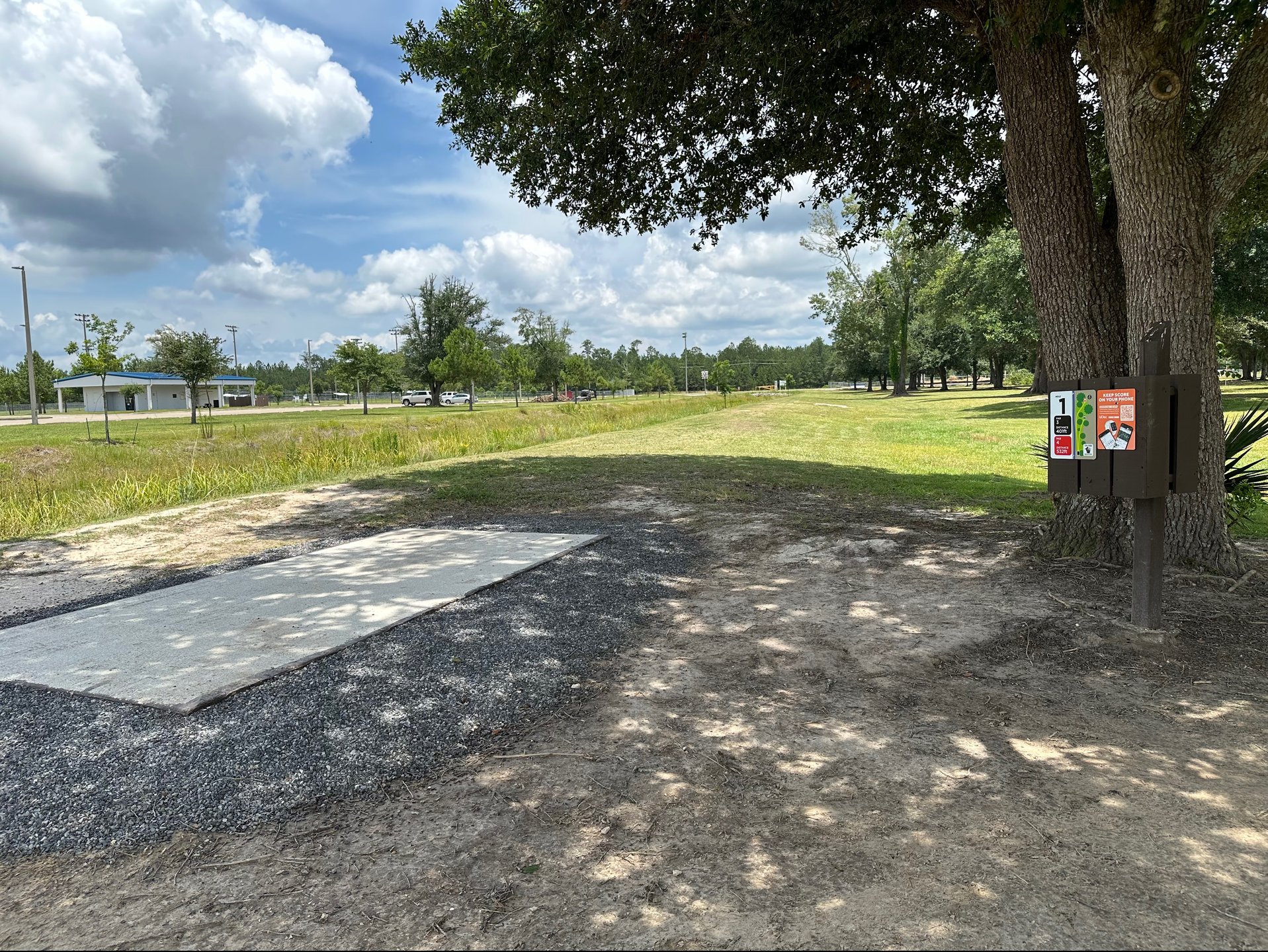 The Pines Disc Golf Course