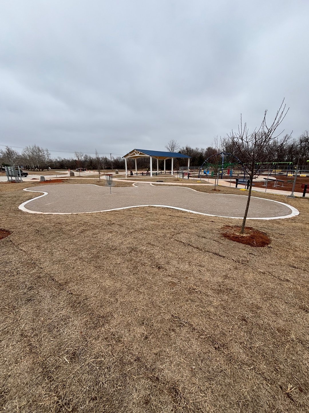 Handicap Accessible Hole with access from playground
