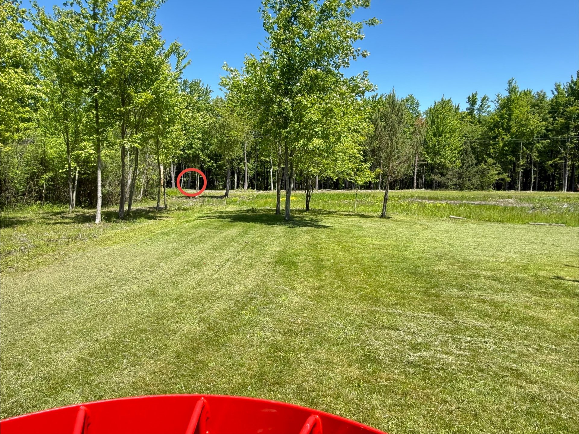 Hole 9 Basket to Tee