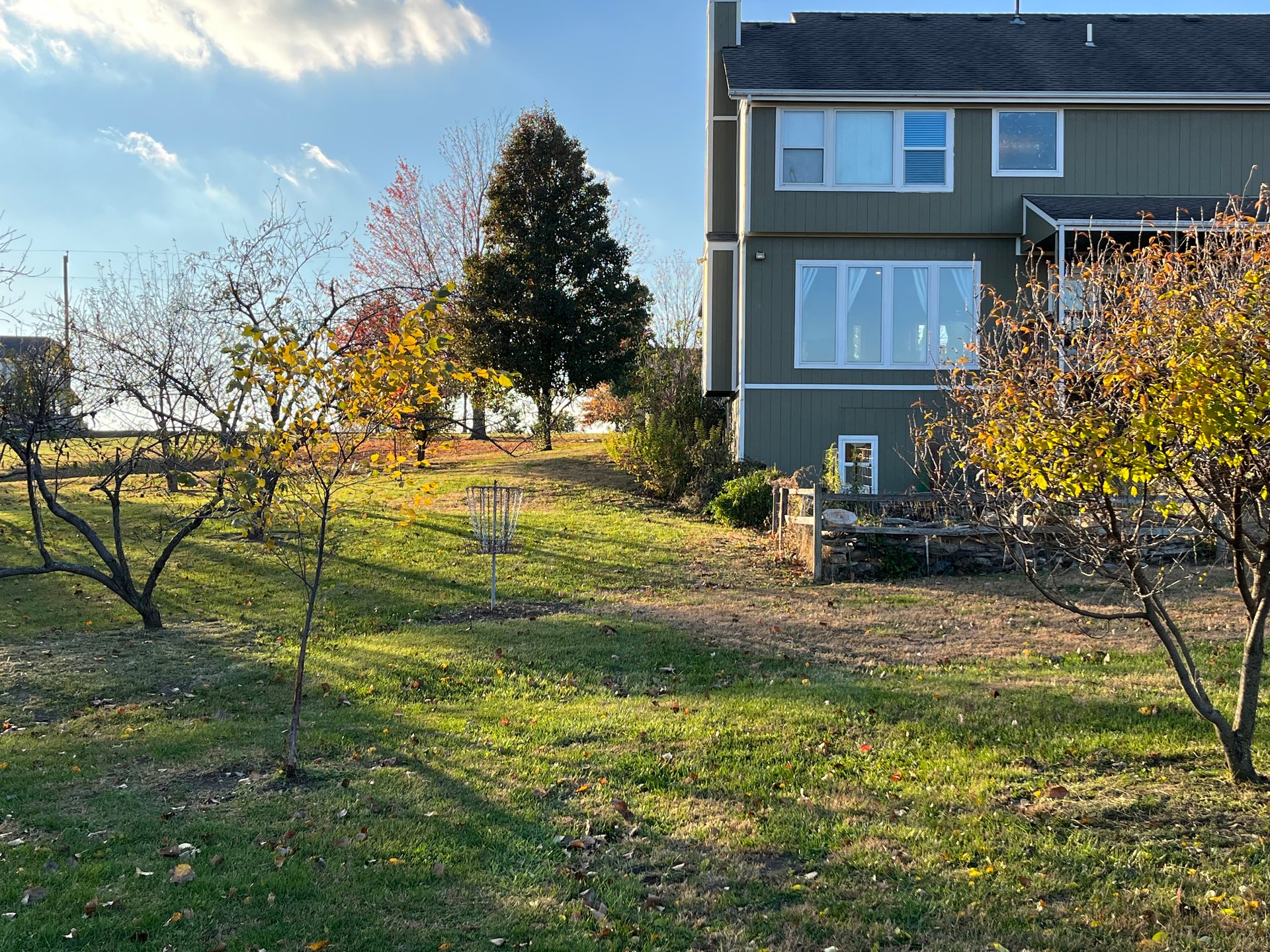 garden right of and behind basket is OB