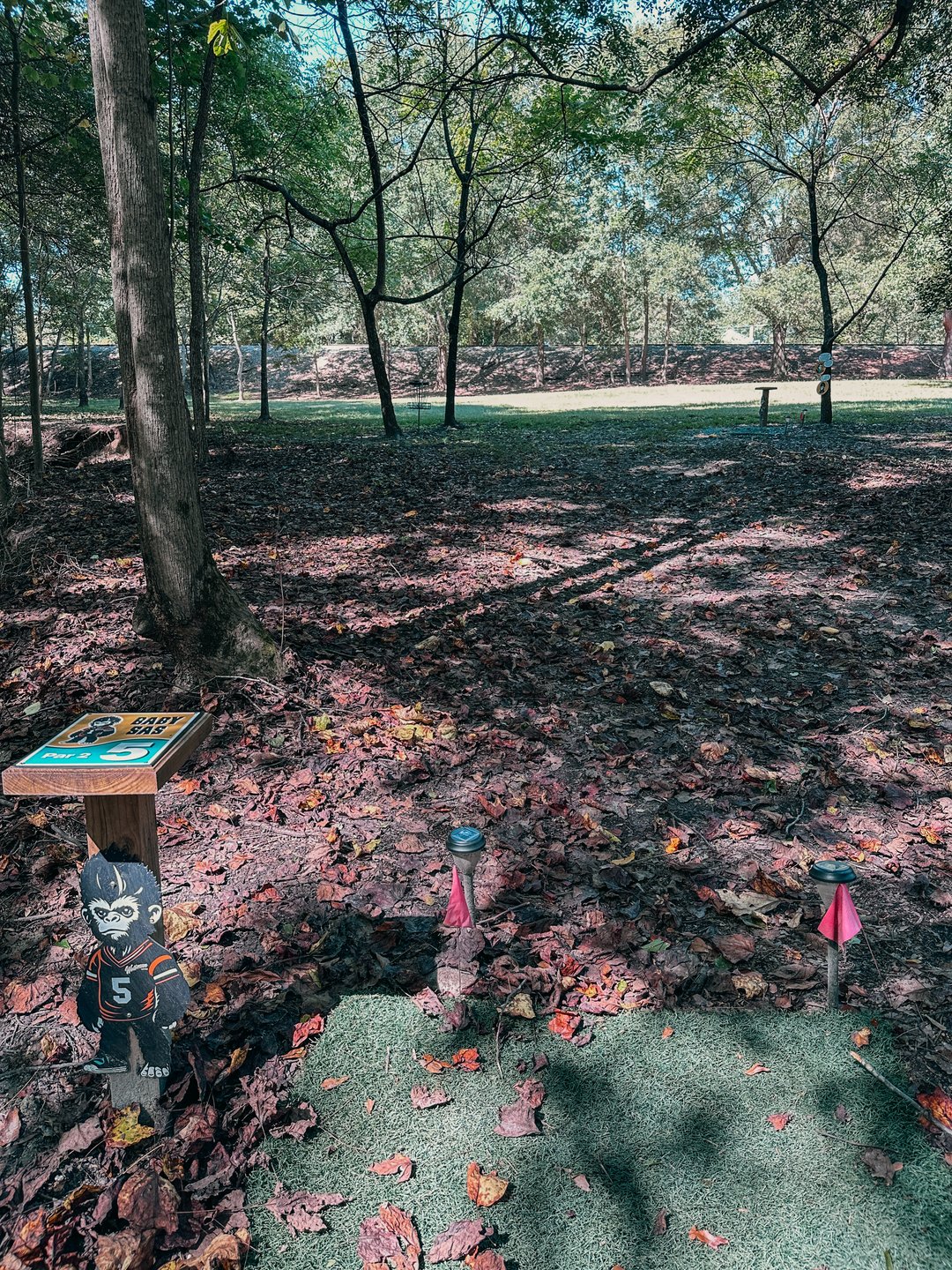 Hole #5
