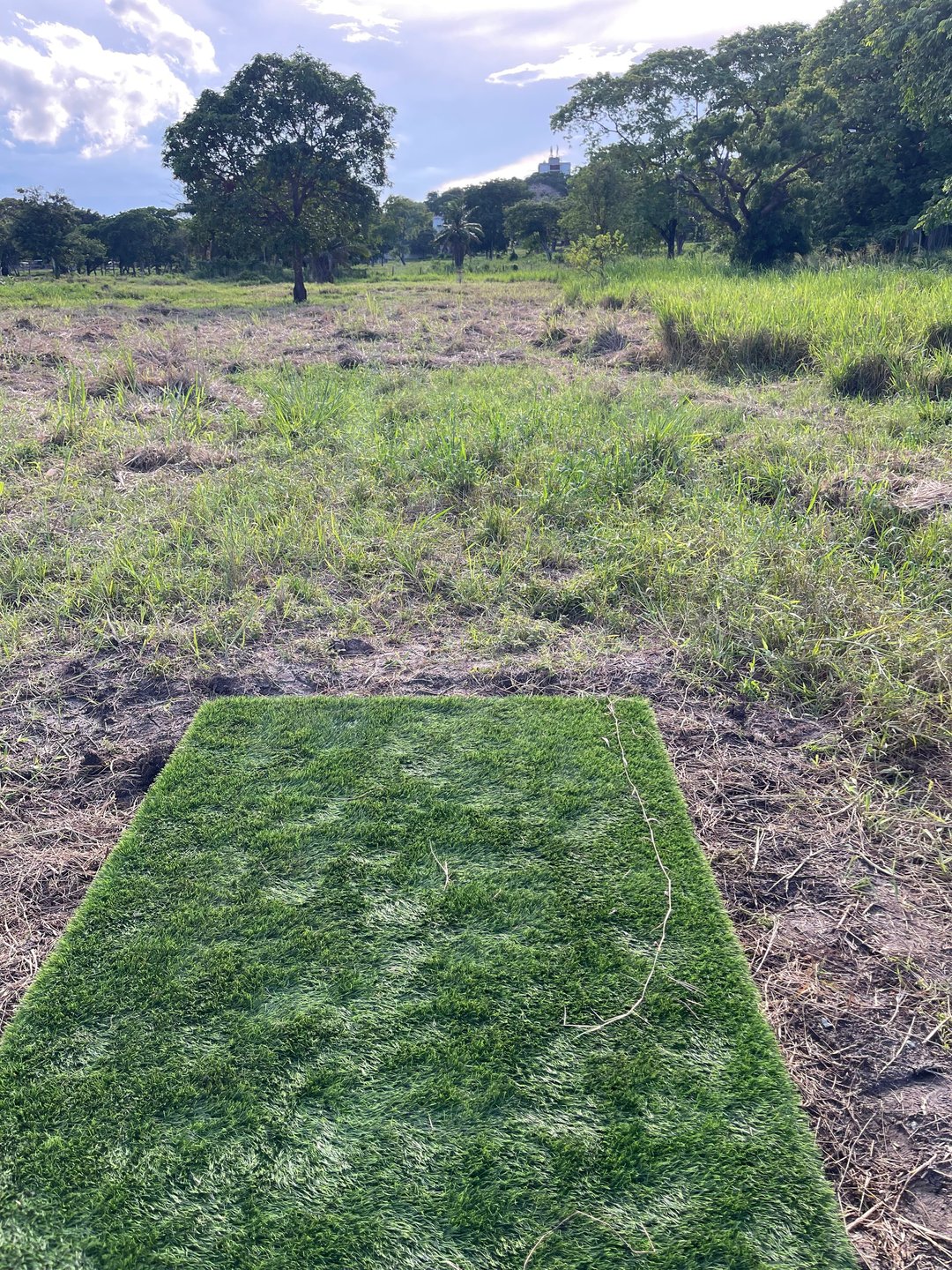 Hole 6 Short Pad