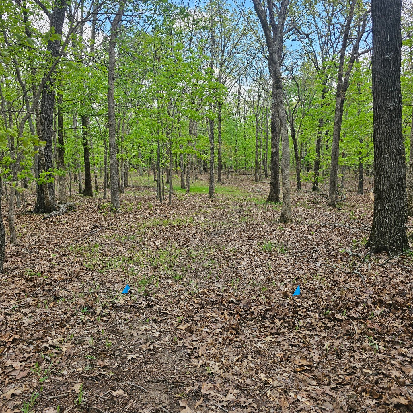 Hole 2 from the tee. 