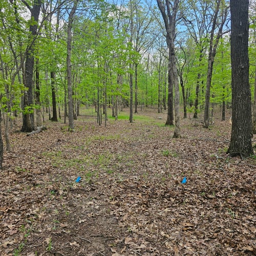 Hole 2 from the tee. 