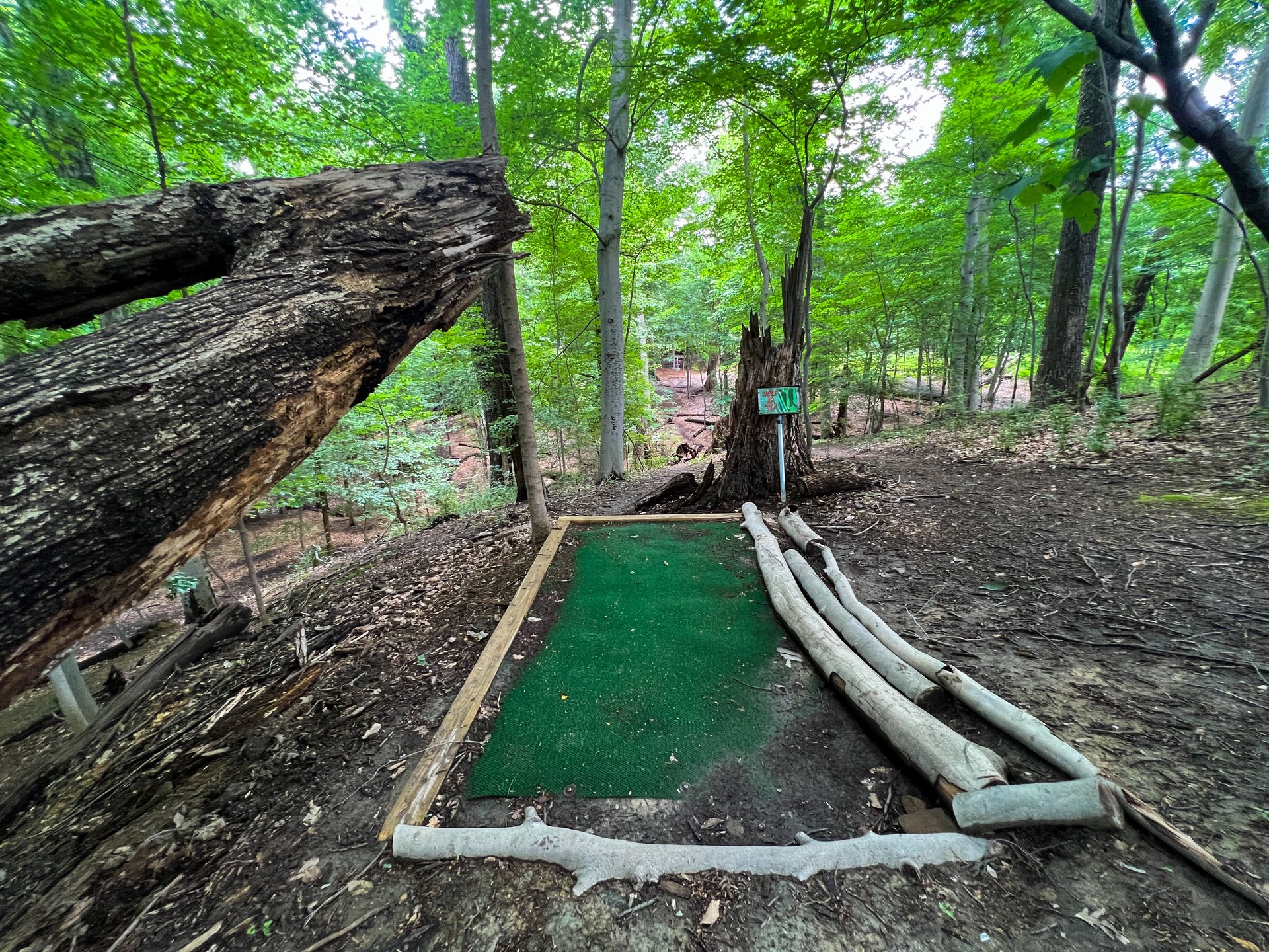 Hole 12's tee. Par 3. Pinks basket is directly straight ahead on the other side of the valley, 226 ft away. Yellow basket is past and to the right of Pink's basket, and is 253 ft away. No OB. 