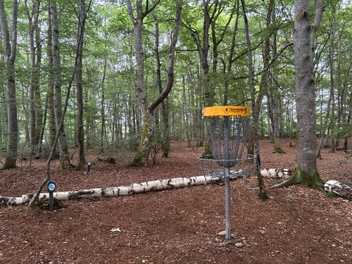 Course photo