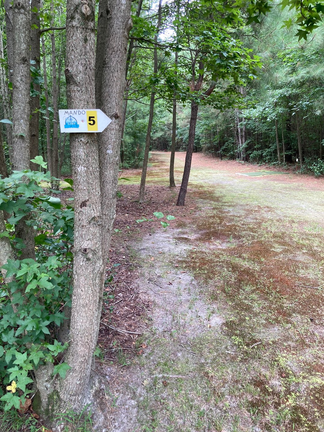 Hole 5 mando, drop zone is red paver on behind of mando tree