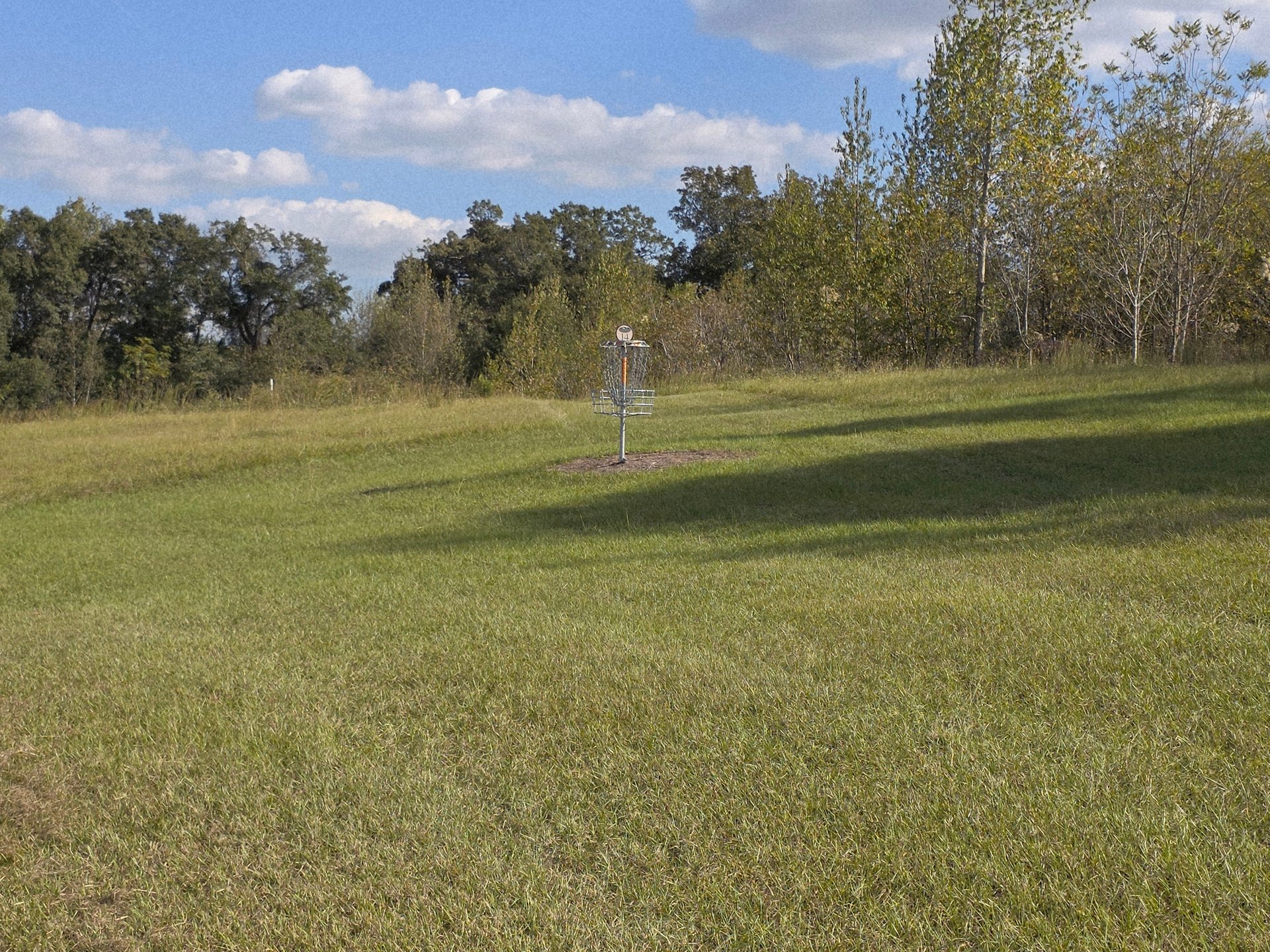 The green and basket on hole 14.