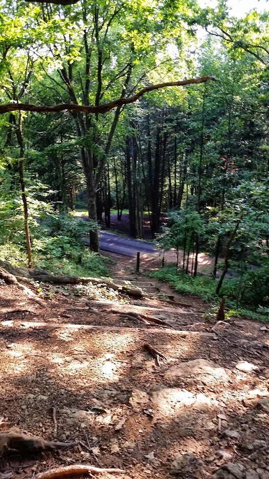 Basket can be in 3 places.  Two on the left (near the spot of sun) and one on the right side of the image.  Tough tee shot to get to the basket. 
