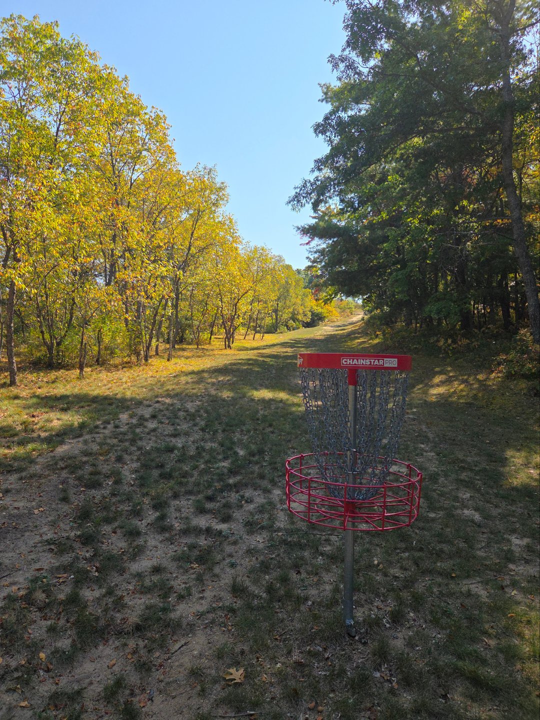 #12 basket looking back up to short & long tes