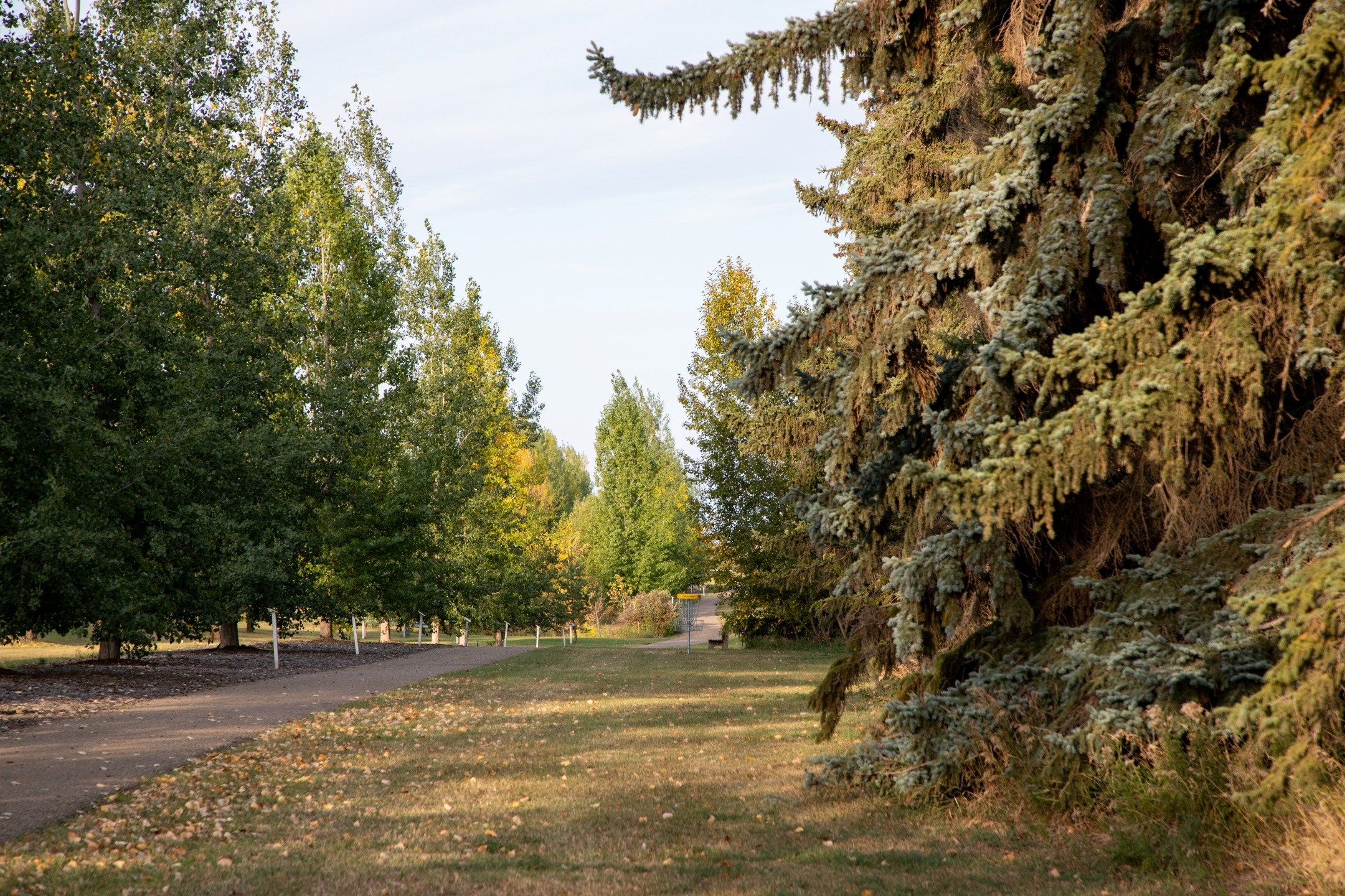 Looking down hole 1's fairway