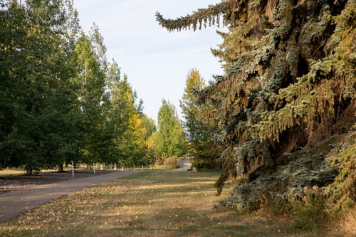 Looking down hole 1's fairway