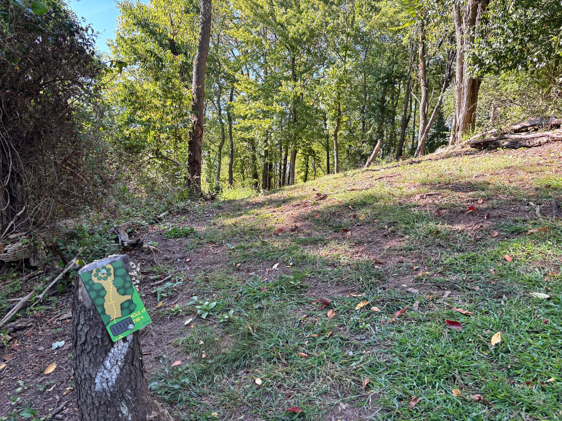 Beginner Tee
From The Parthenon, walk to the right of the woods; there will be an entrance path to the course.  Don't try to go through the rough.