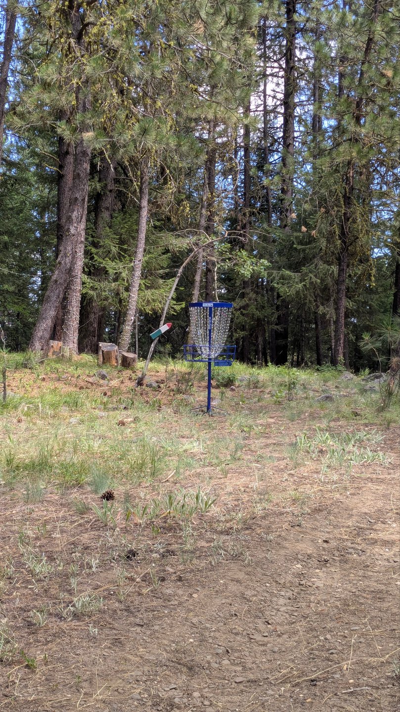#22 - Basket