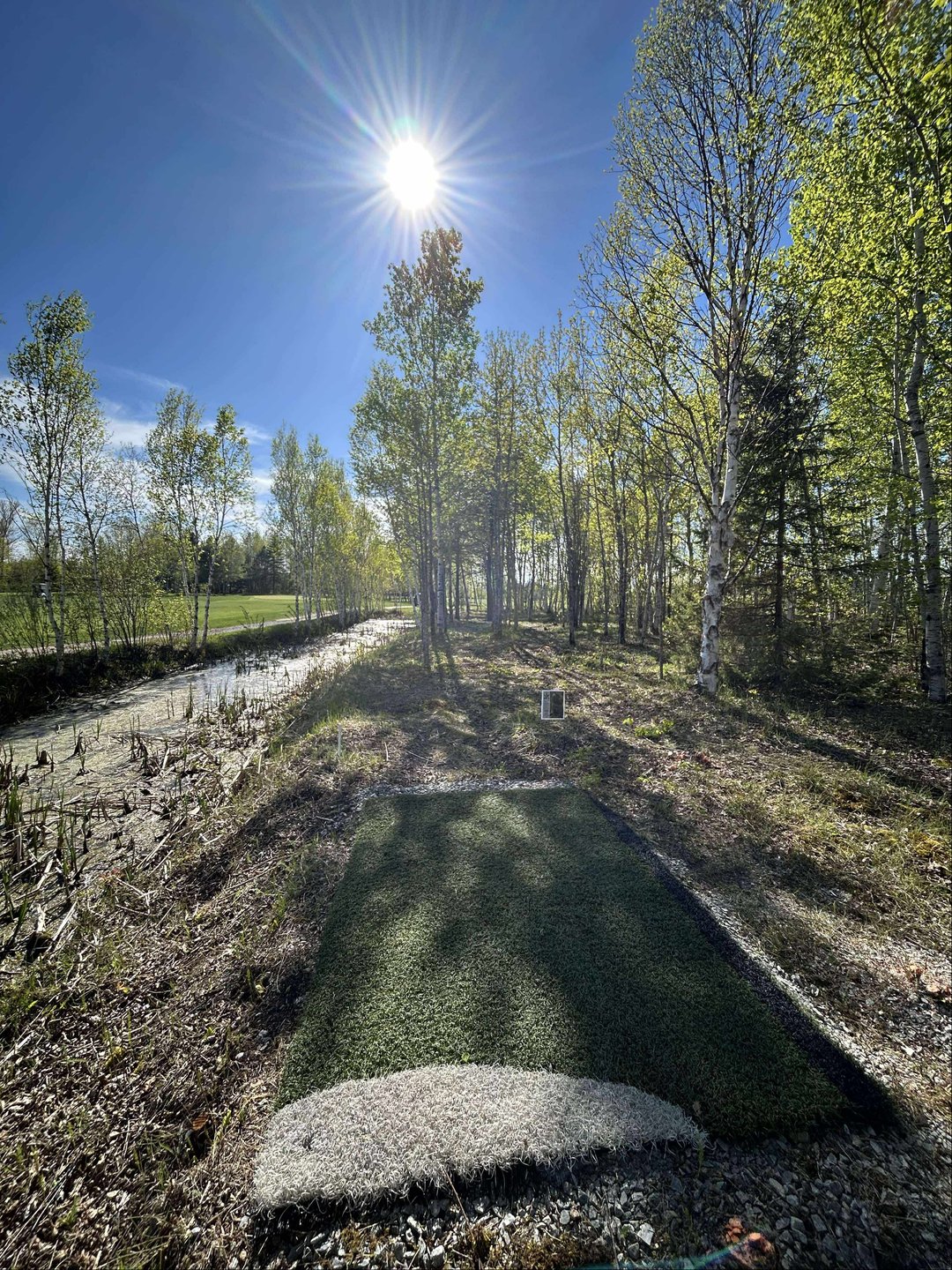 Hole 12 Red Tee
