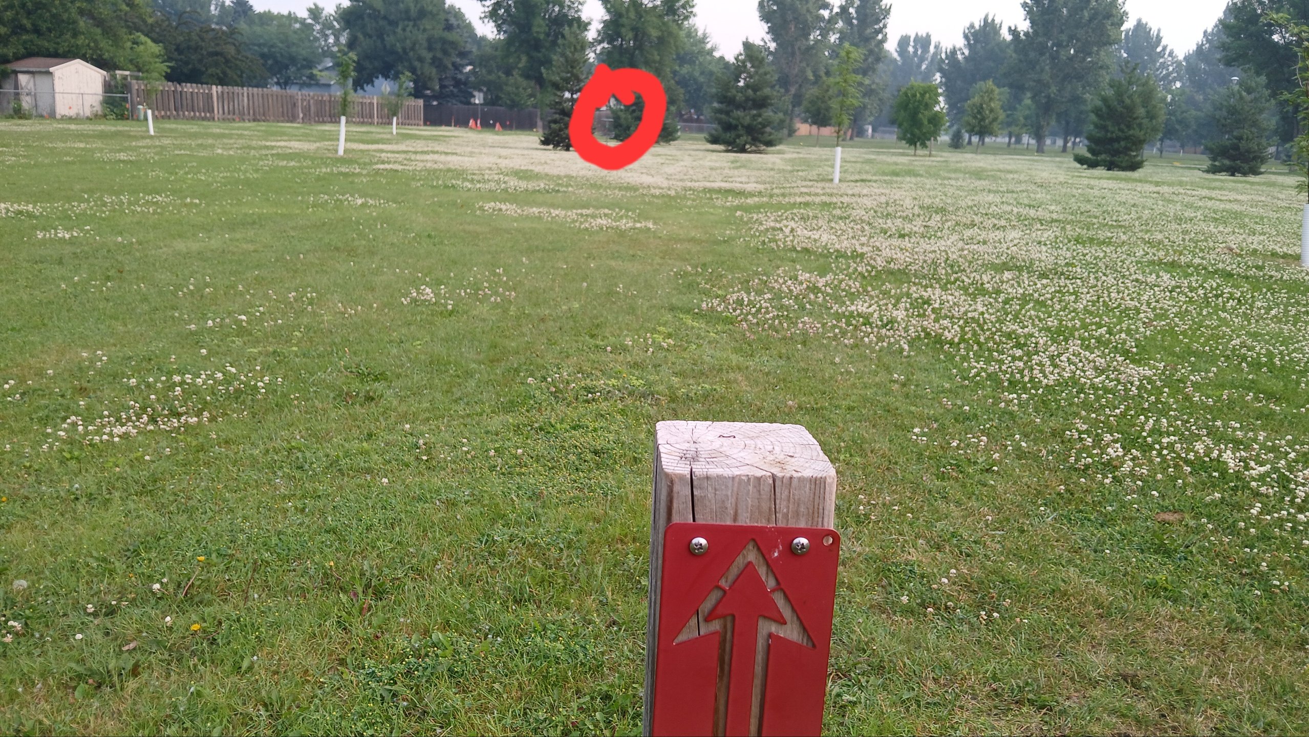 Hole 6 is the longest shot in the park, finishing by threading between the trees!

150ft