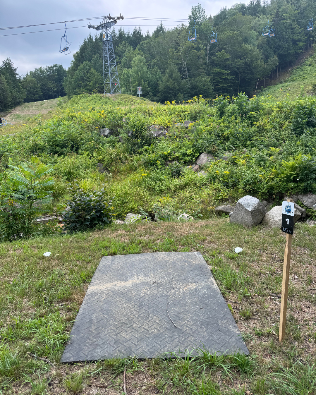 Hole 1 tee pad