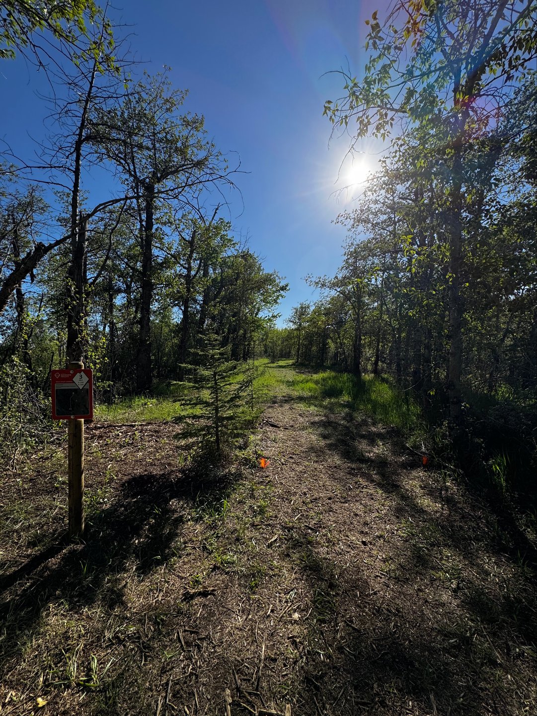 Hole 3