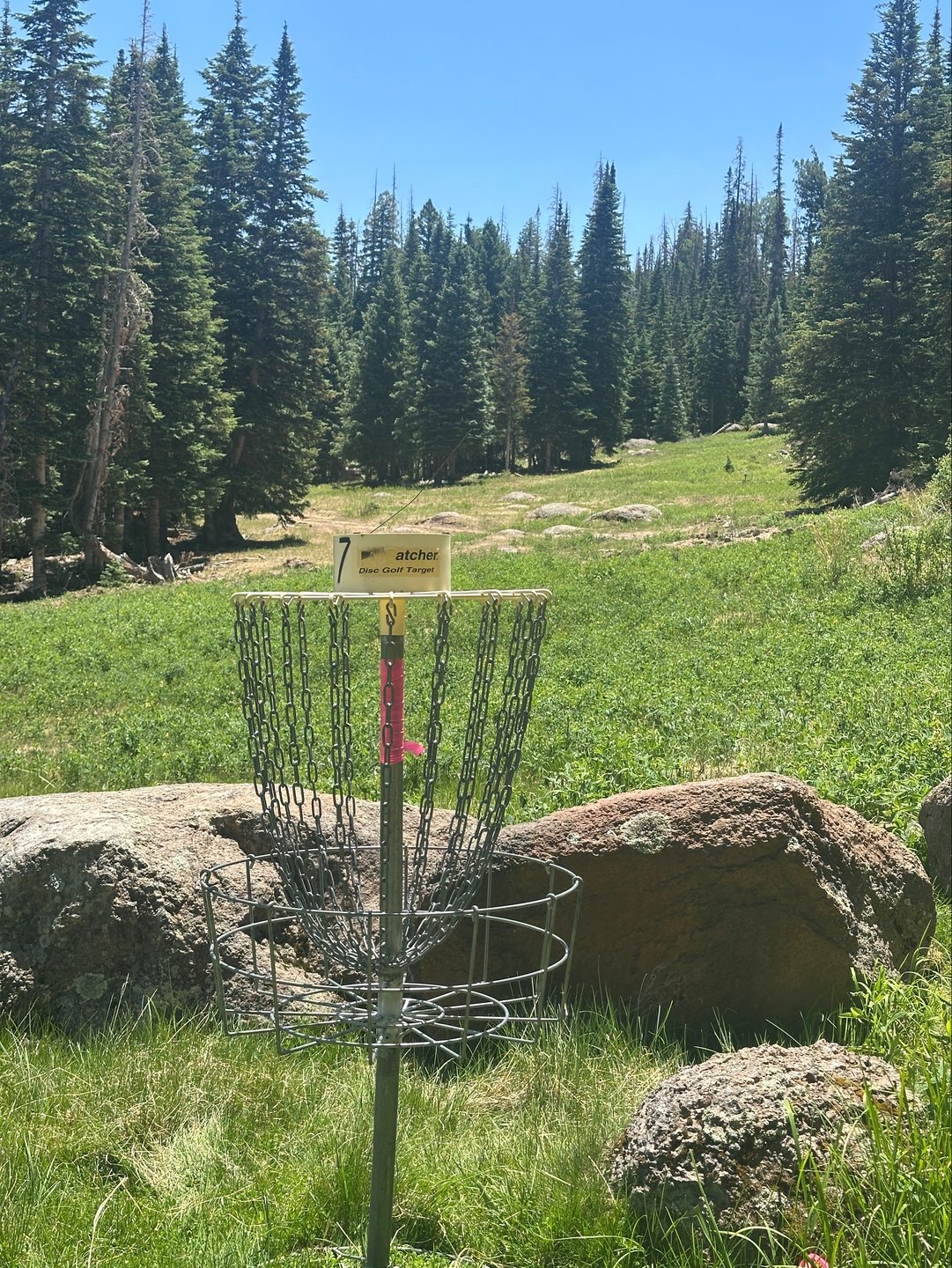 Basket of 7 looking back up the fairway towards the tee.
