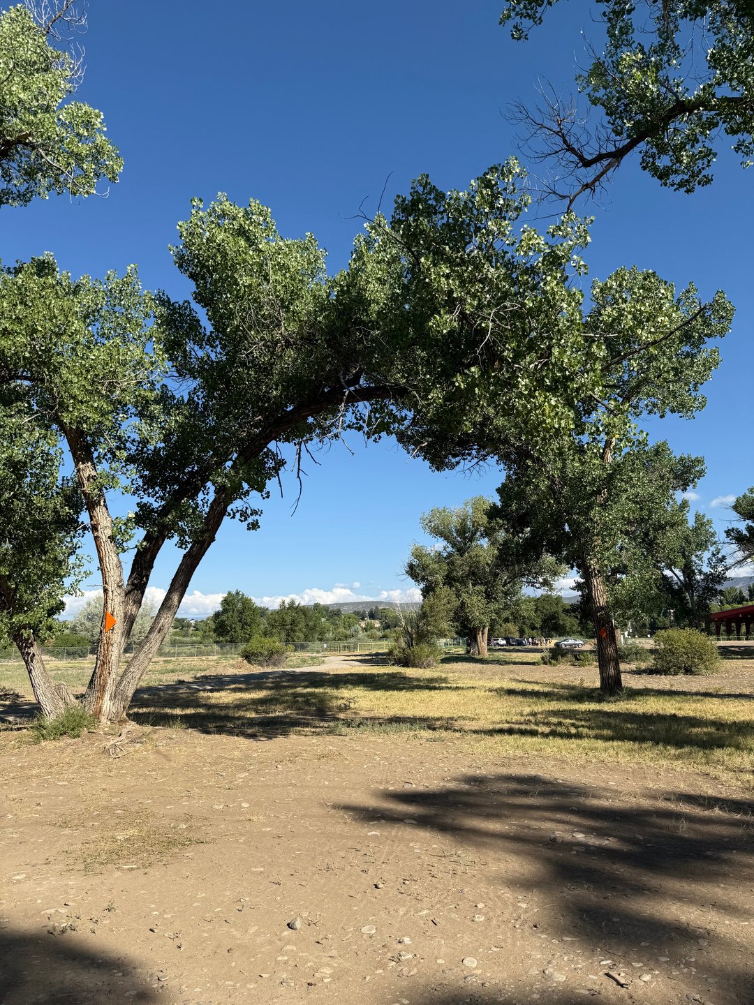 The Mando arch of hole 18.