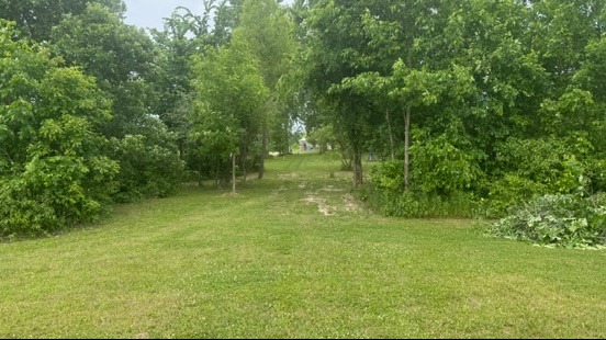 Hole 22 Tee shot. Shooting back towards hole 1 tee and the raised basket.