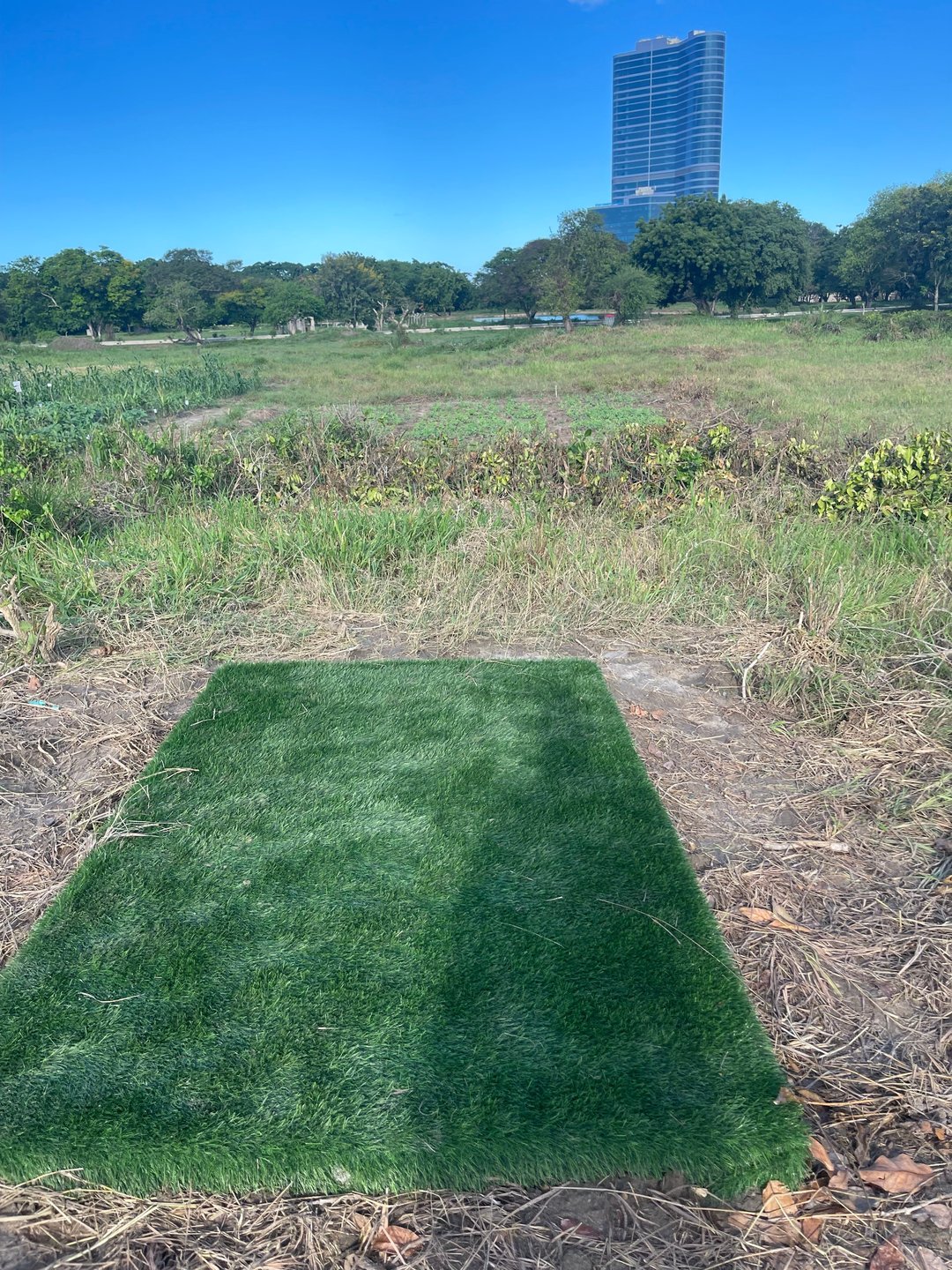 Hole 7 Short Pad
