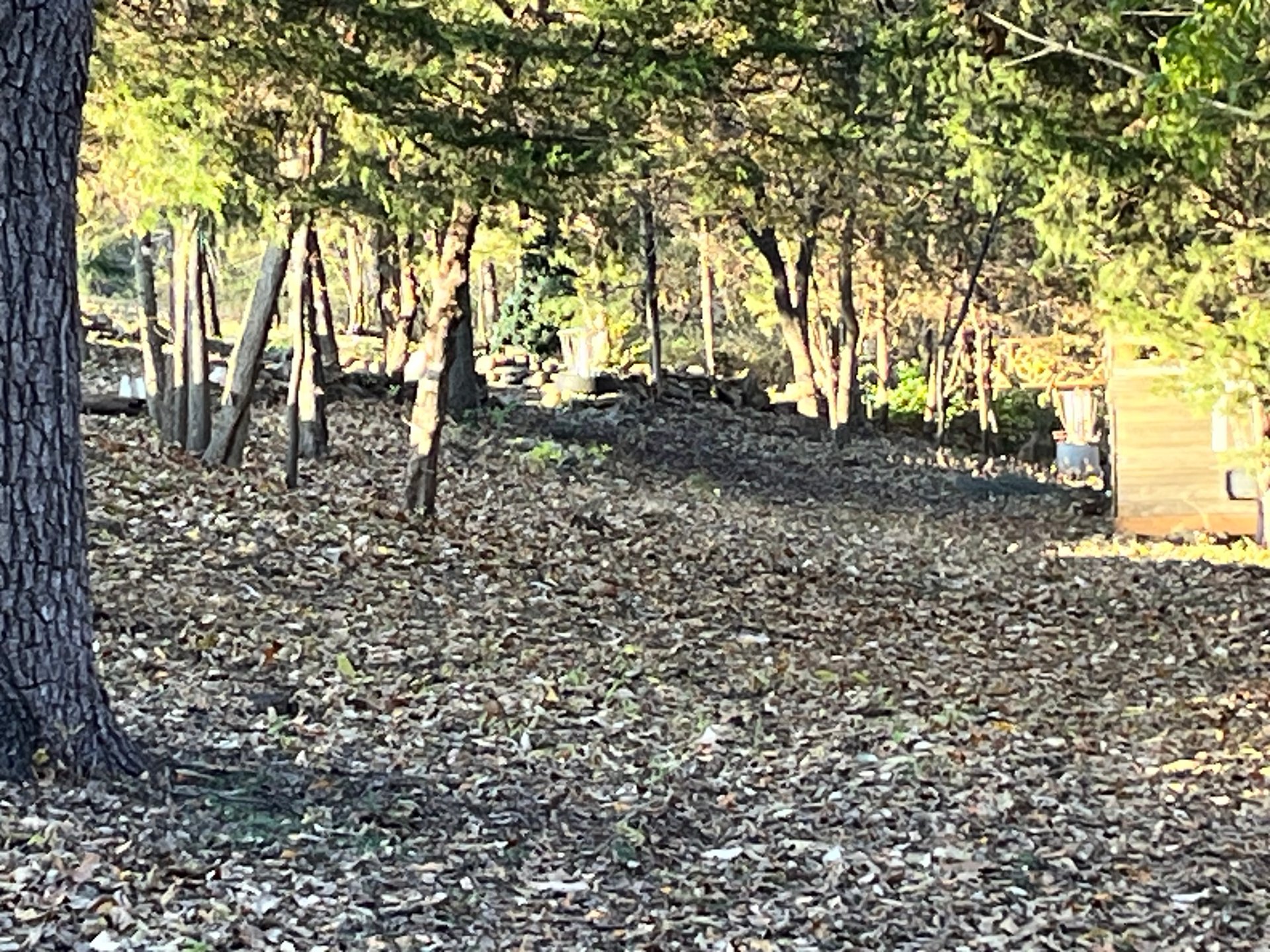 both basket settings seen in picture