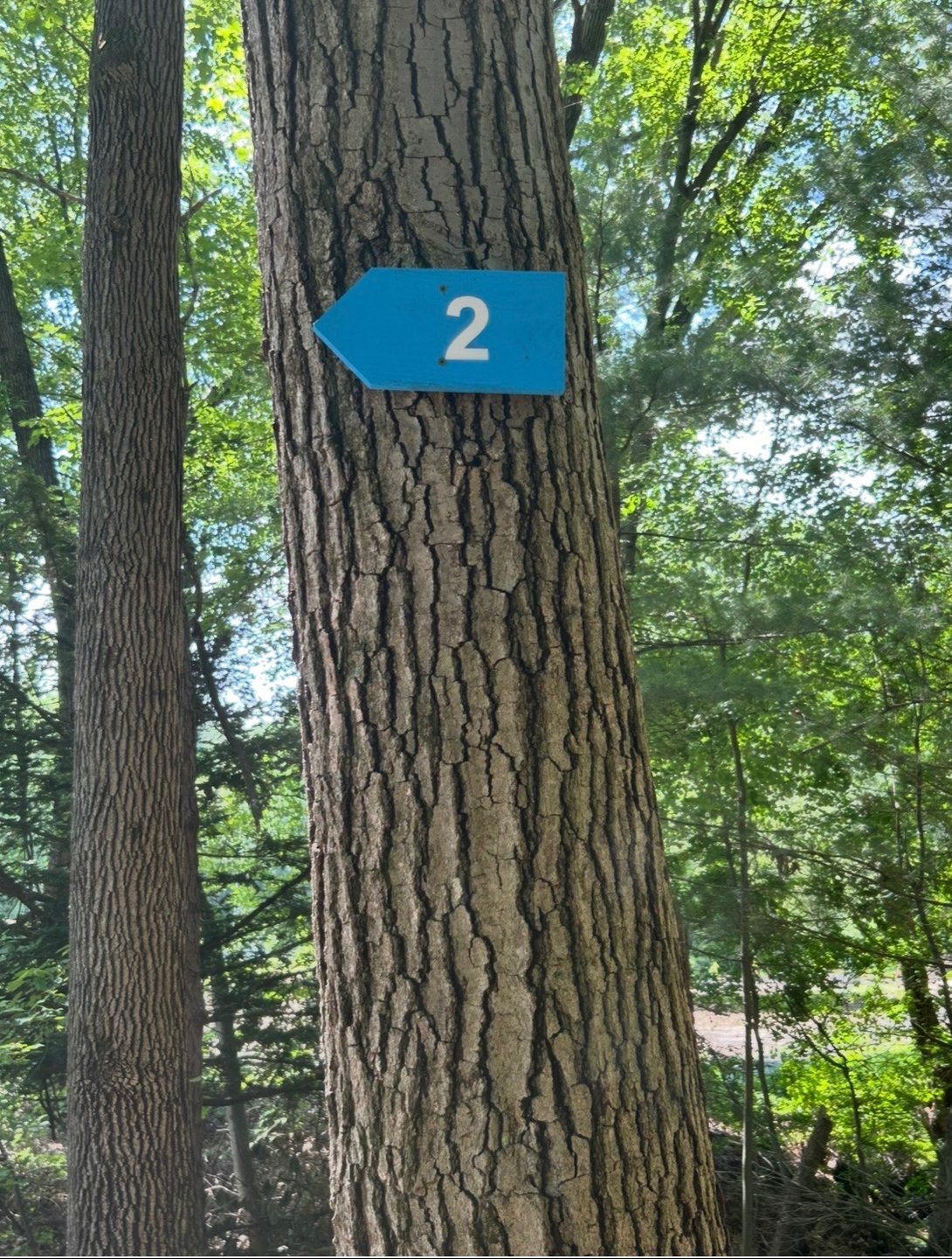 Follow the blue arrows to next hole