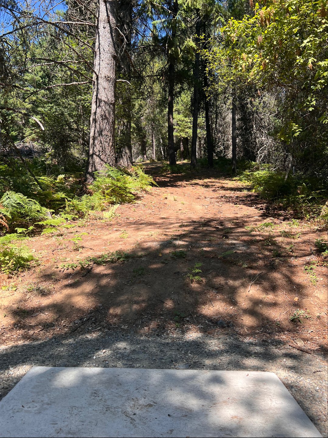 Hole 4 teepad