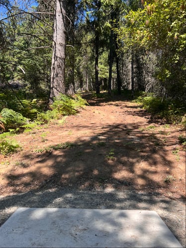 Hole 4 teepad