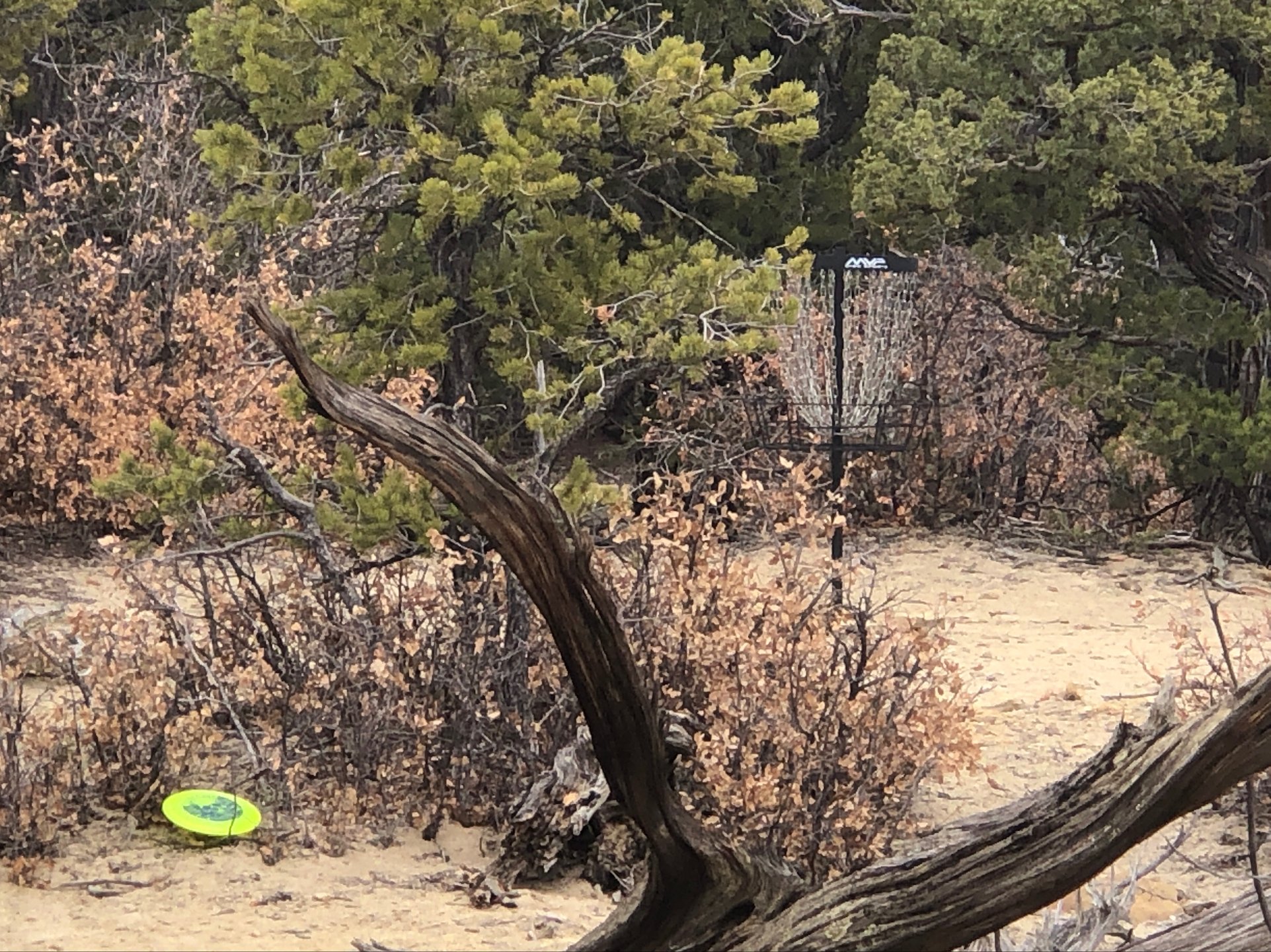 Basket for hole 1 & 4