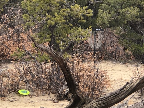 Basket for hole 1 & 4