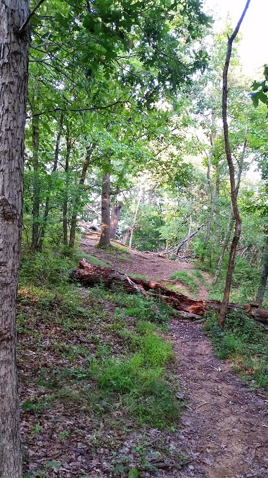 At the end of the short tee pad.  There are trees on both the left and right of the pad that really come in to play from the long pad.  First big tree you see on the left is a mando (must go to the right of it).  Spotter is recommended on the drive.