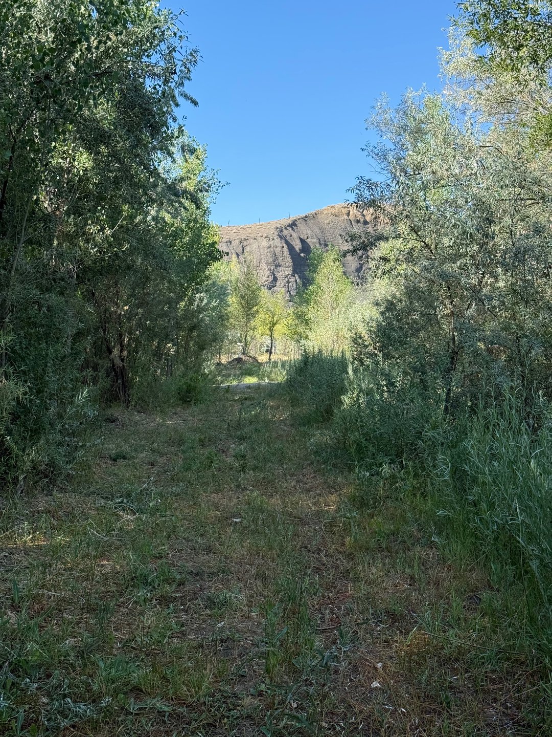 The fairway of hole 7.