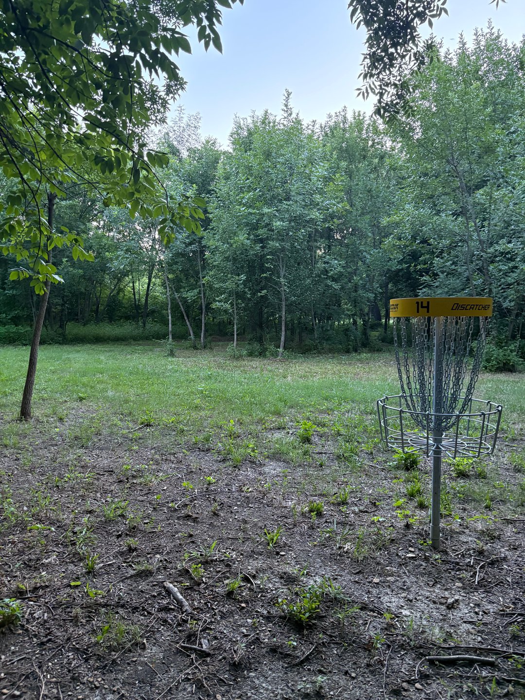 Looking back from 14s basket. 