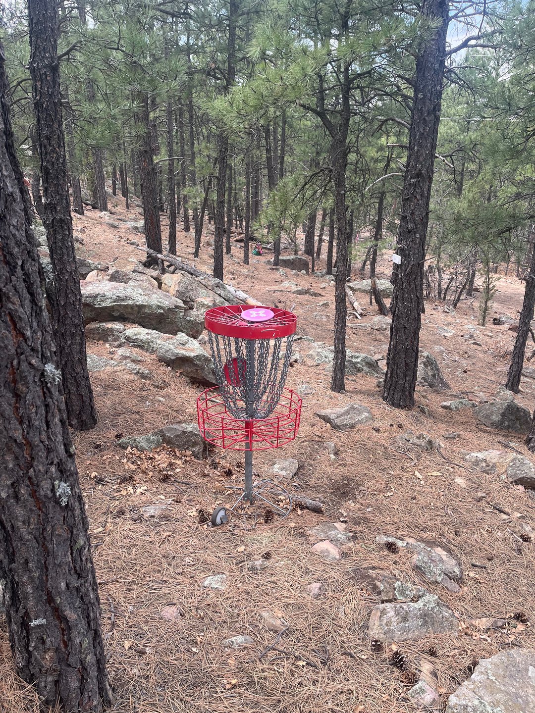 Hole 12 Basket