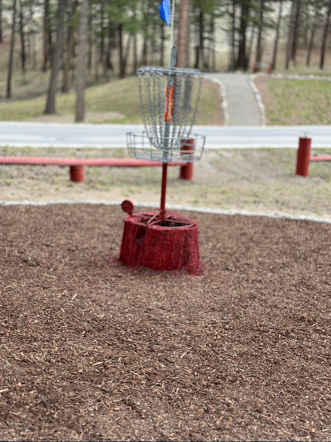 16 dig leg new bulls eye circle - 