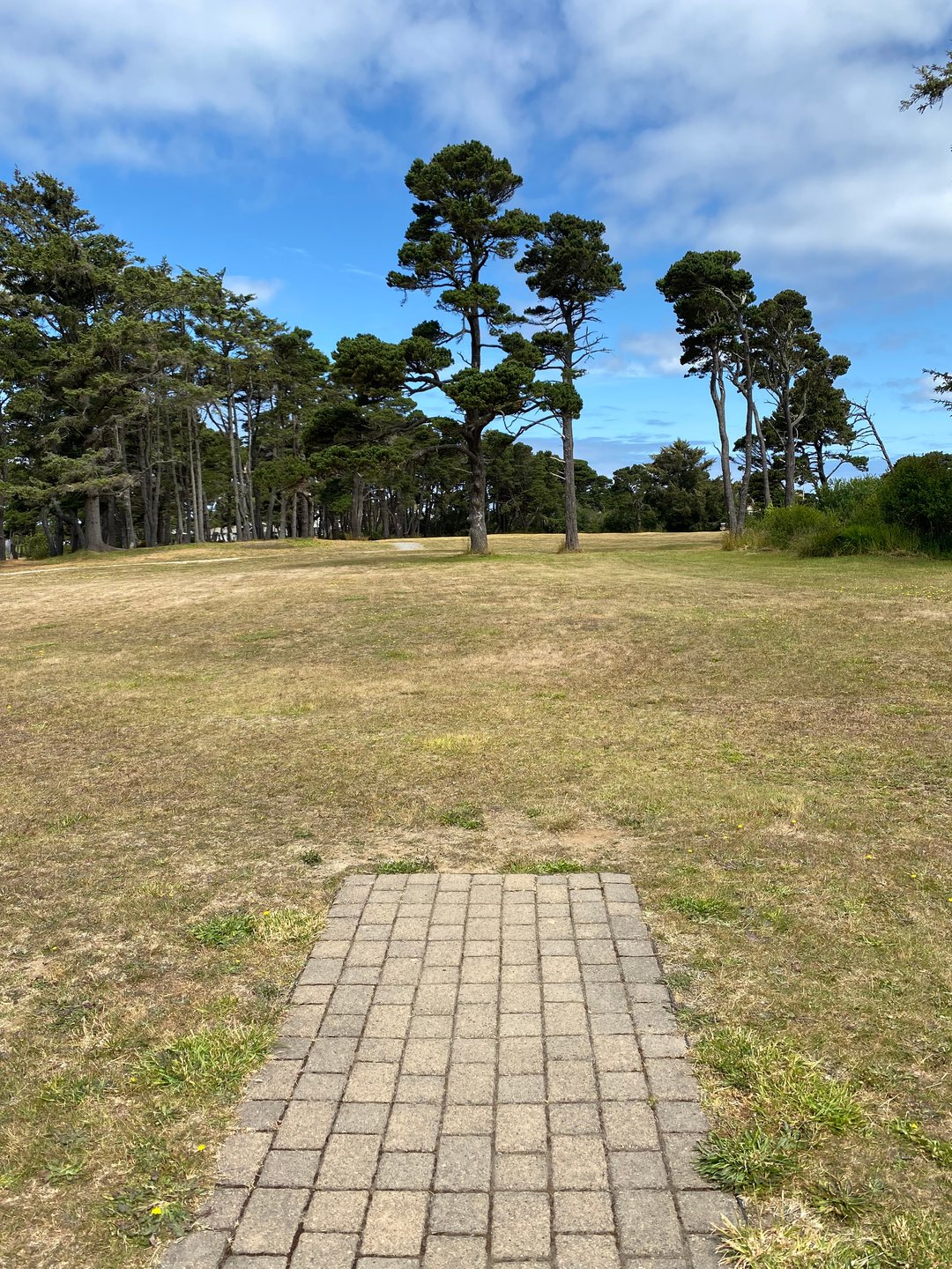 Tee pad for both Hole 8 on the Main layout and Hole 13A on the Bandon 30 layout.