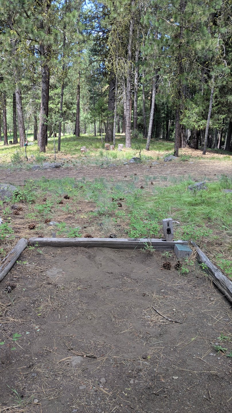 #23 - Tee Pad 