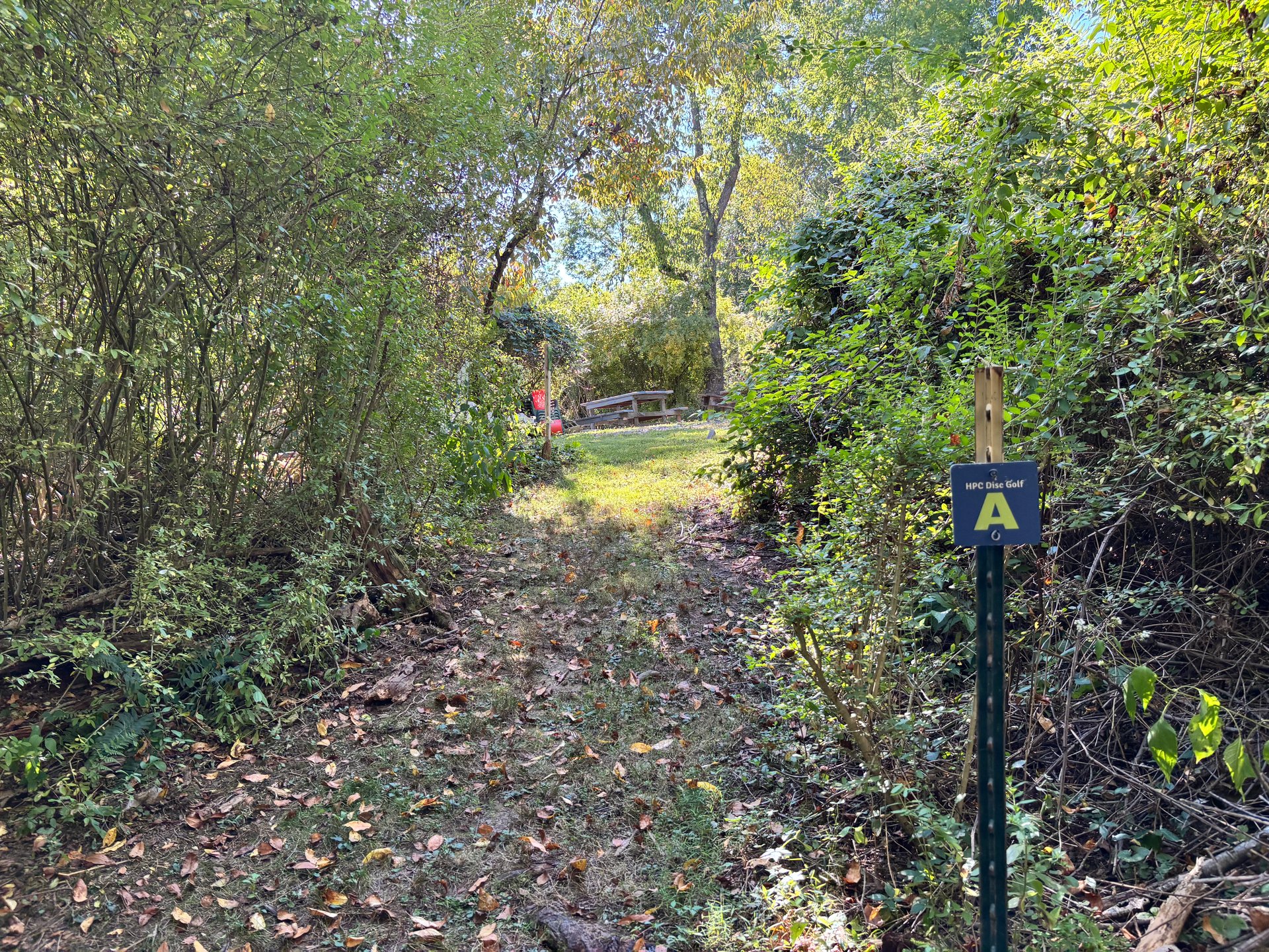 Advanced Tee
Down the path from the Firepit