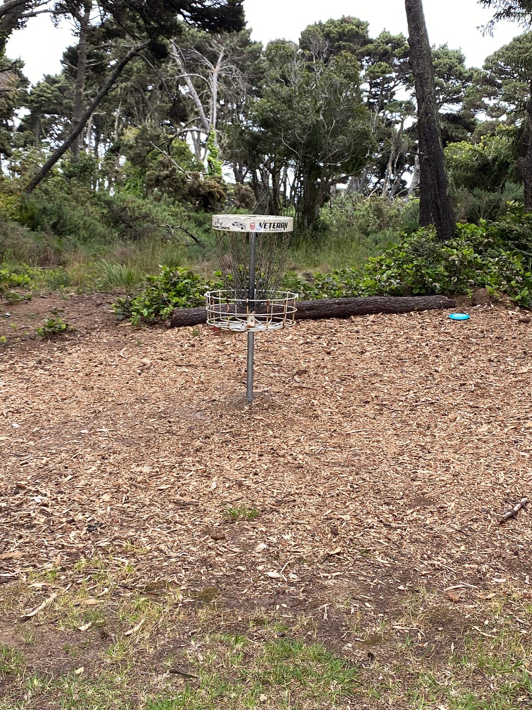 Shared basket for Holes 4 and 13 on the Main layout, and Hole 5A and 20A on the Bandon 30 layout.