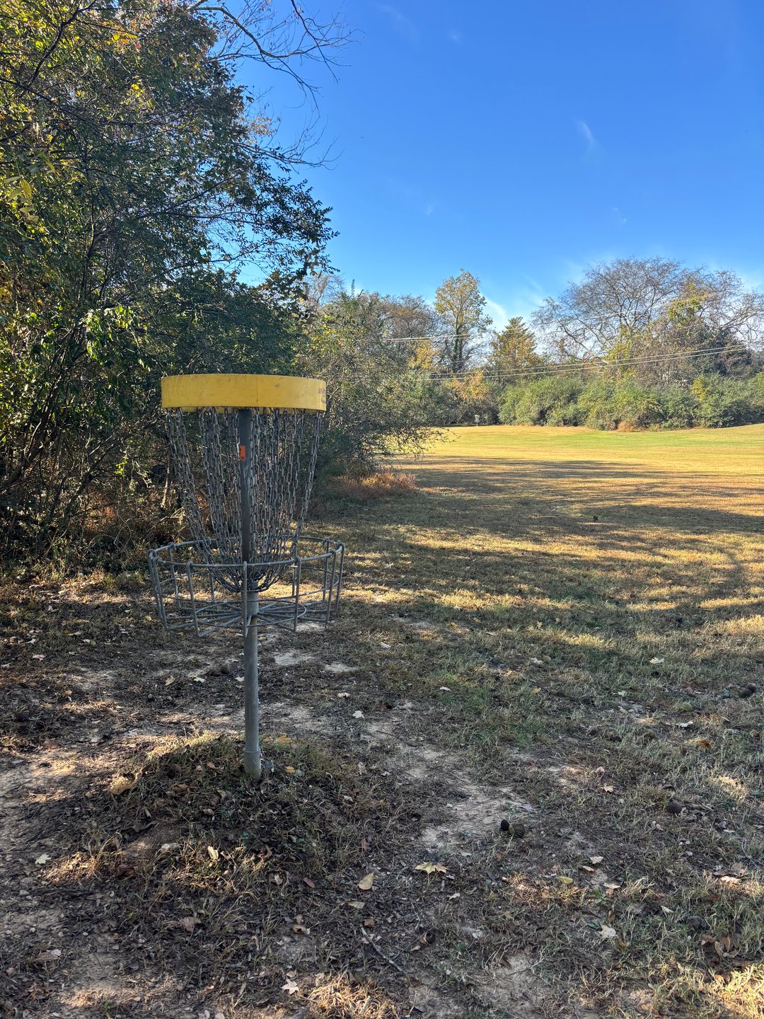 Hole #8 Basket to Tee