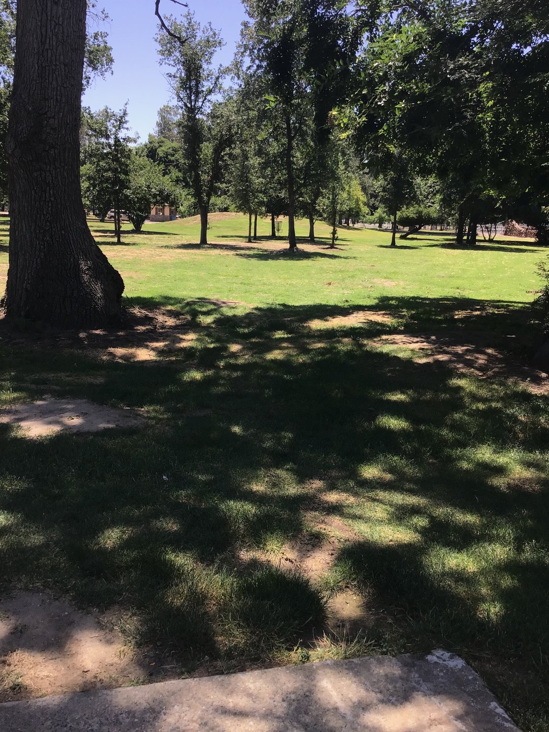 Hole 14