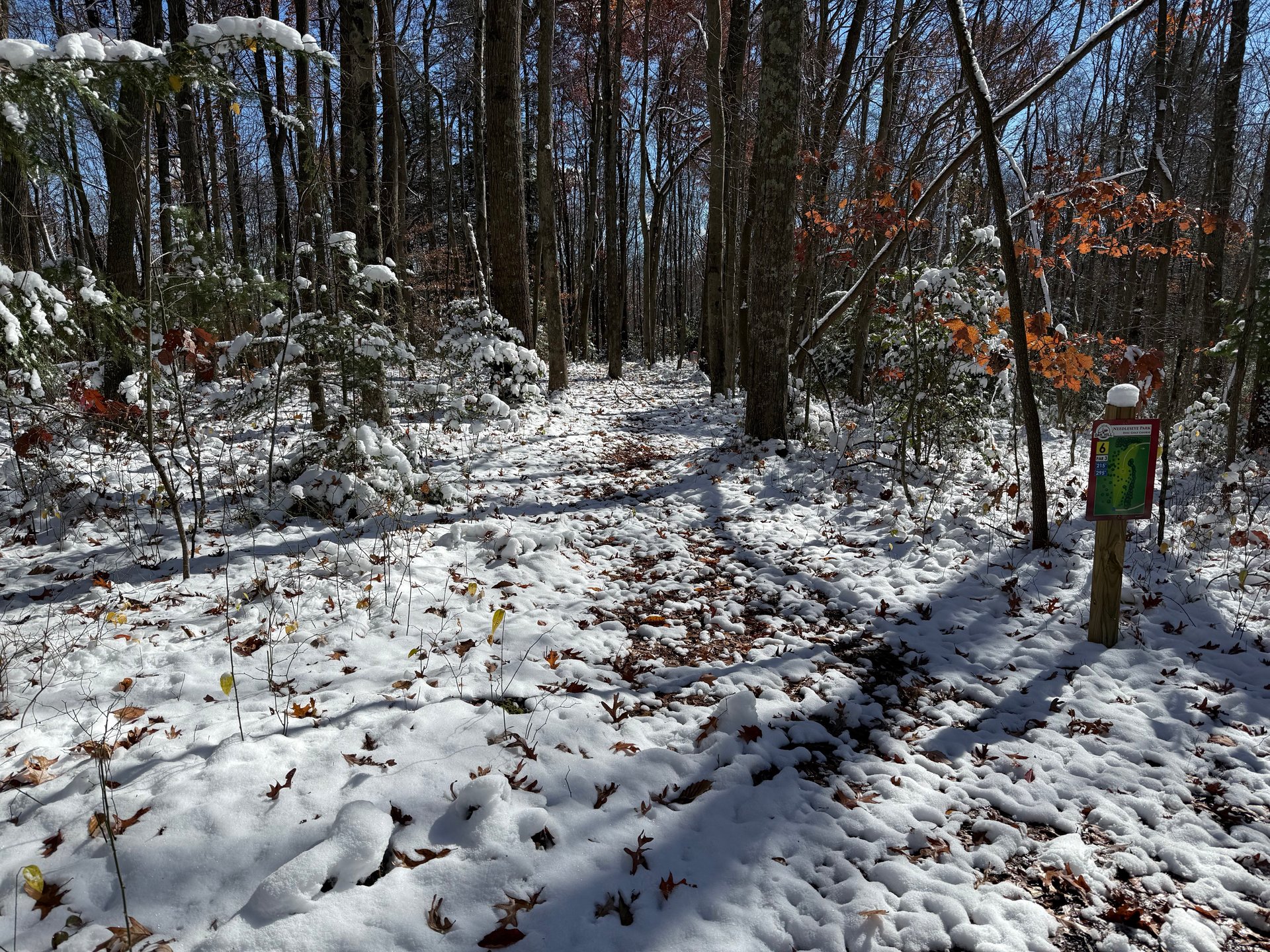 View from the teepad