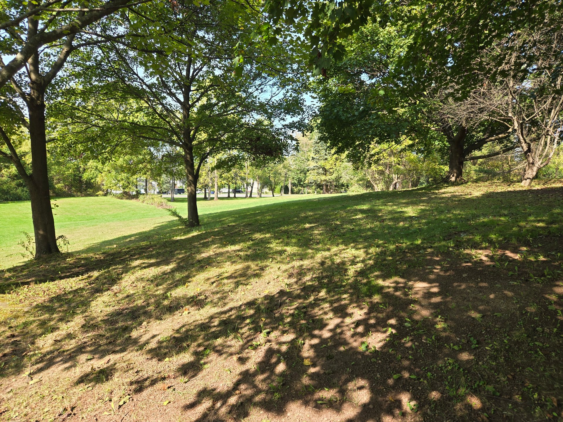 from landing looking towards basket area